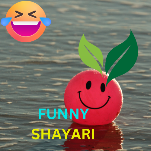 Funny shayari in Hindi